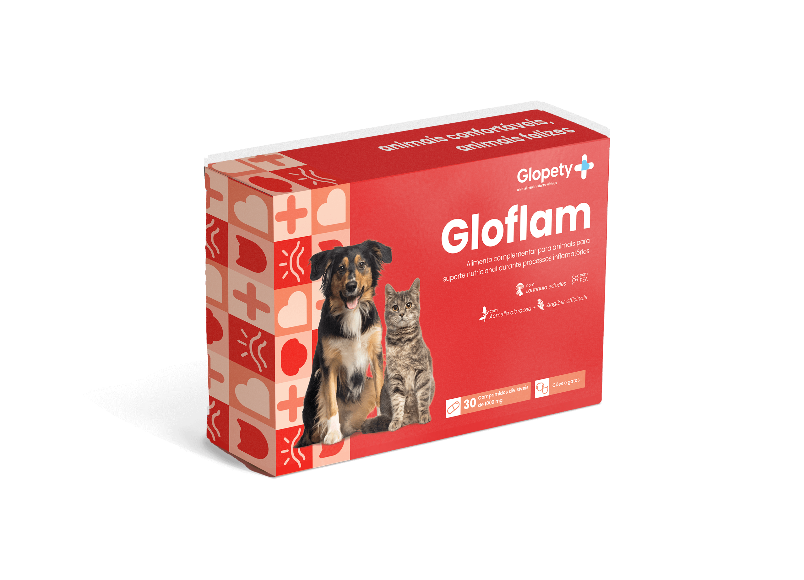 GLOFLAM